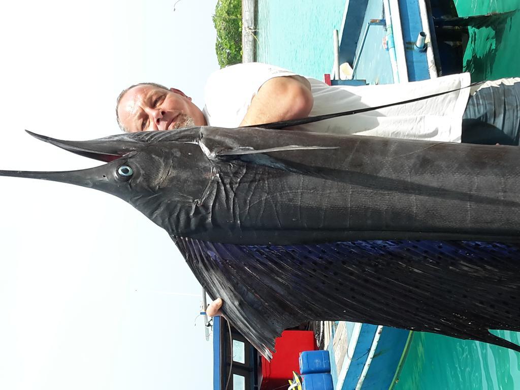 Keyodhoo  Manta View Guest House מראה חיצוני תמונה